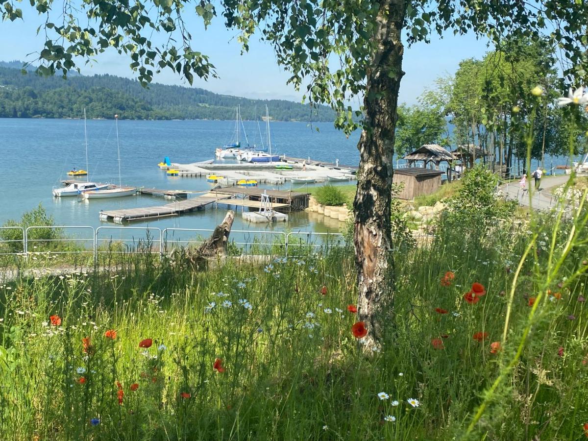 Apartament Czorsztyn Lake & Ski Экстерьер фото
